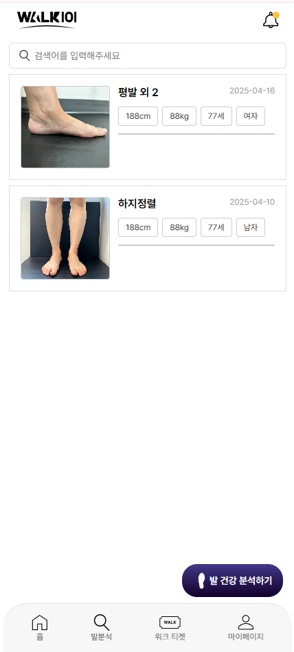분석 이력